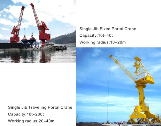 single (1).webp single (1).webp