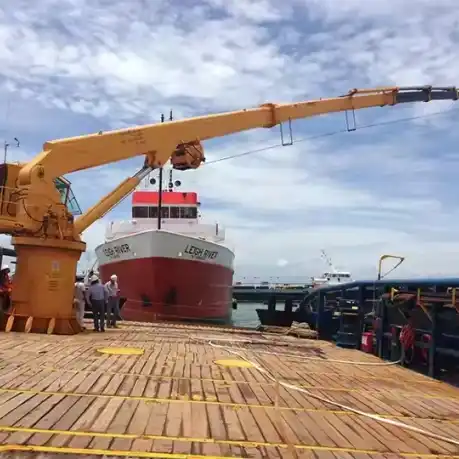 Marine Stiff Boom Crane